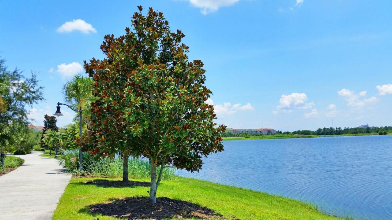 Gorgeous 1St-Floor, End Unit Condo W Lakeview Ορλάντο Εξωτερικό φωτογραφία